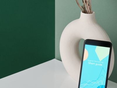 Digital representation of the practice guide cover